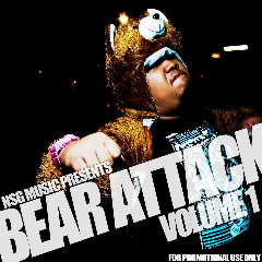 NSGBEARATTACK